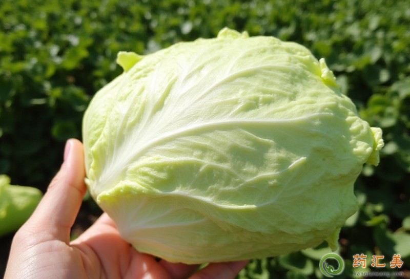 �����׳�Ժ���ܳ������ˆ�