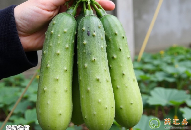 �������ܳ����S�φ�