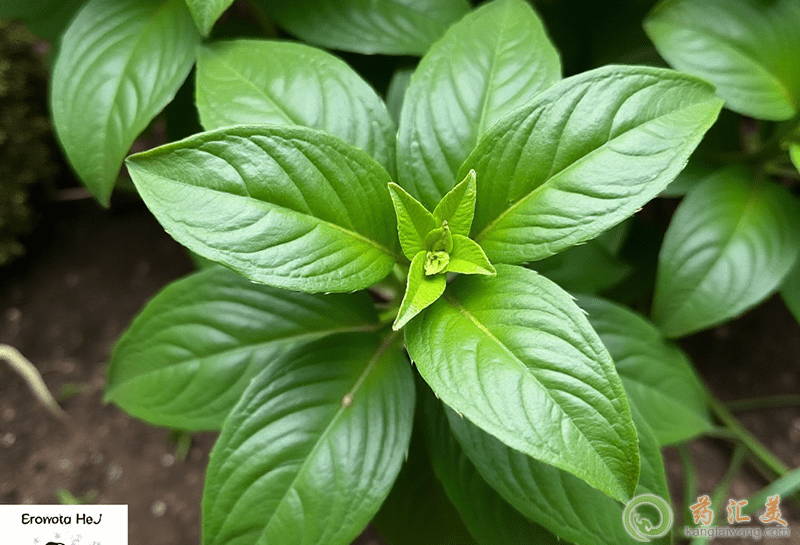 �_�յĠI(y��ng)�B(y��ng)�r(ji��)ֵ