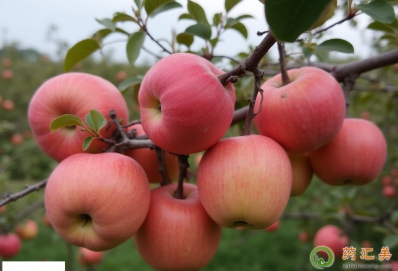 �������ܳ��O����