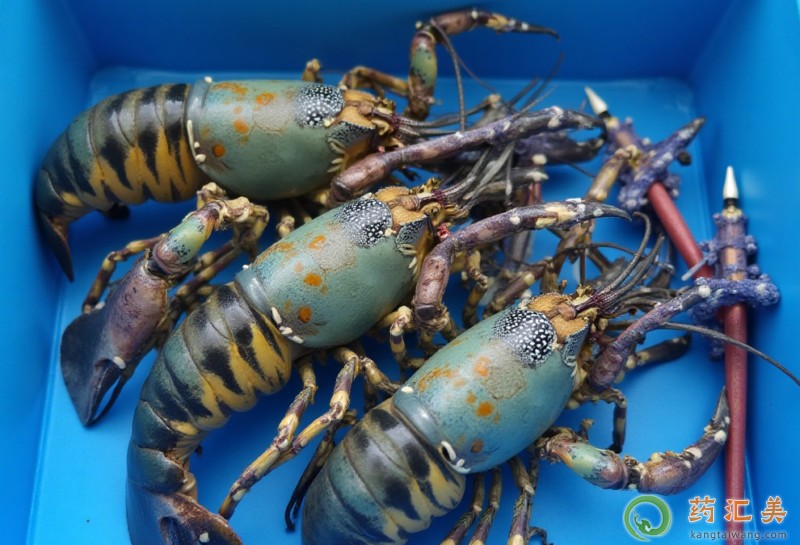 �Ի����r���a�I��