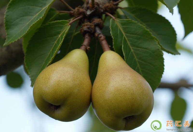 �������ܳ�ɳ���