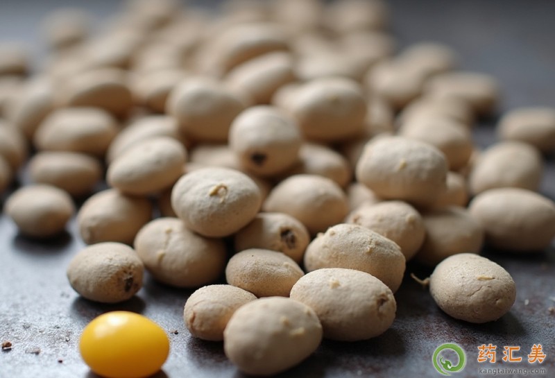 �������ܳ�ɽˎ����