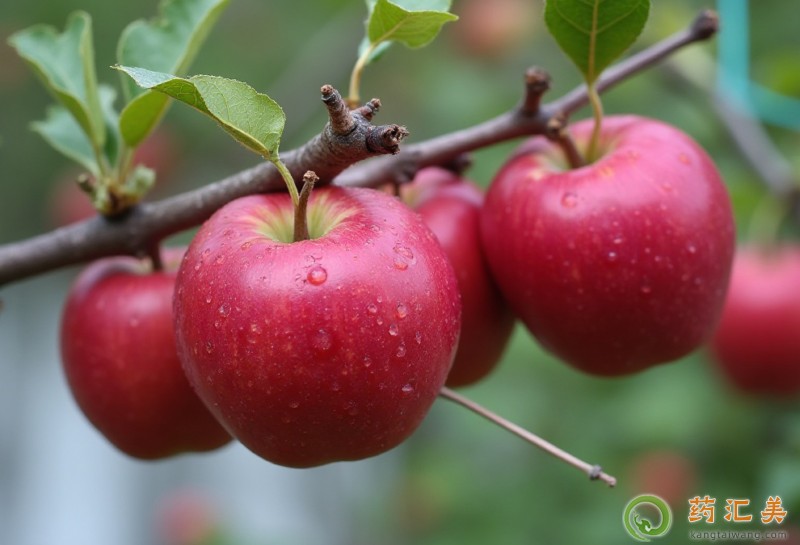 ʧ���ܳ��O����