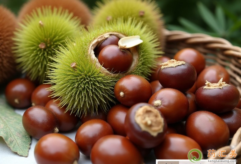 �����׿��Գ�ë���ӆ�