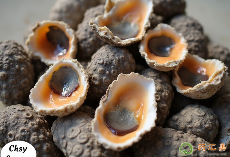 �Ժ�����ʲô��̎