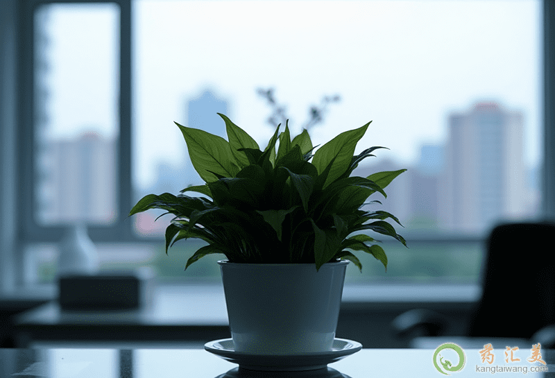 ���^���m�˷ŵĖ|��