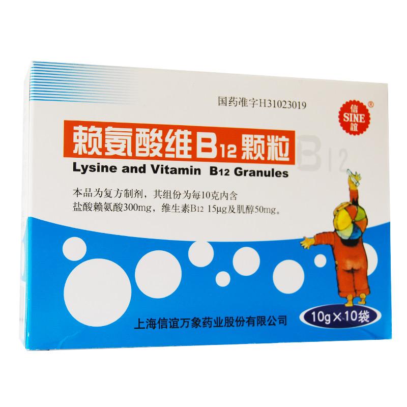 ه����SB12�w��