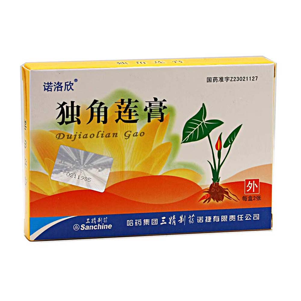 ����ɏ��