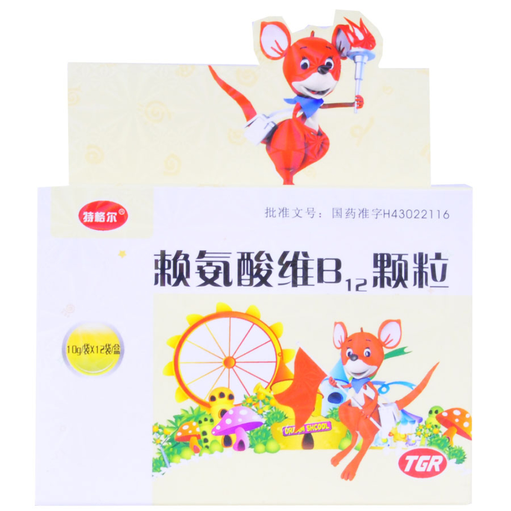 ه����SB12�w��