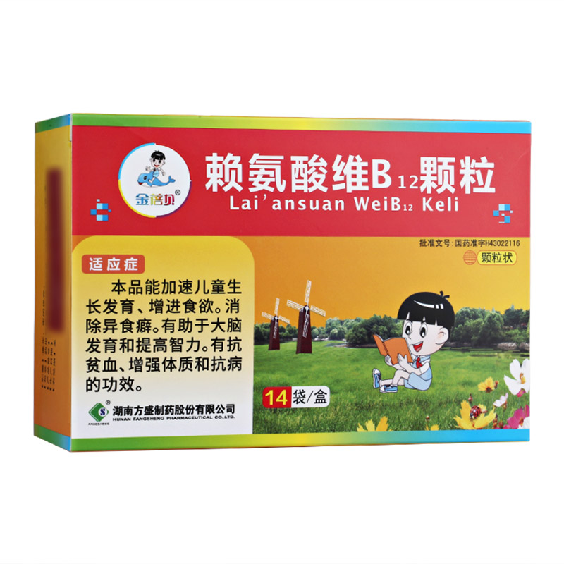 ه����SB12�w��