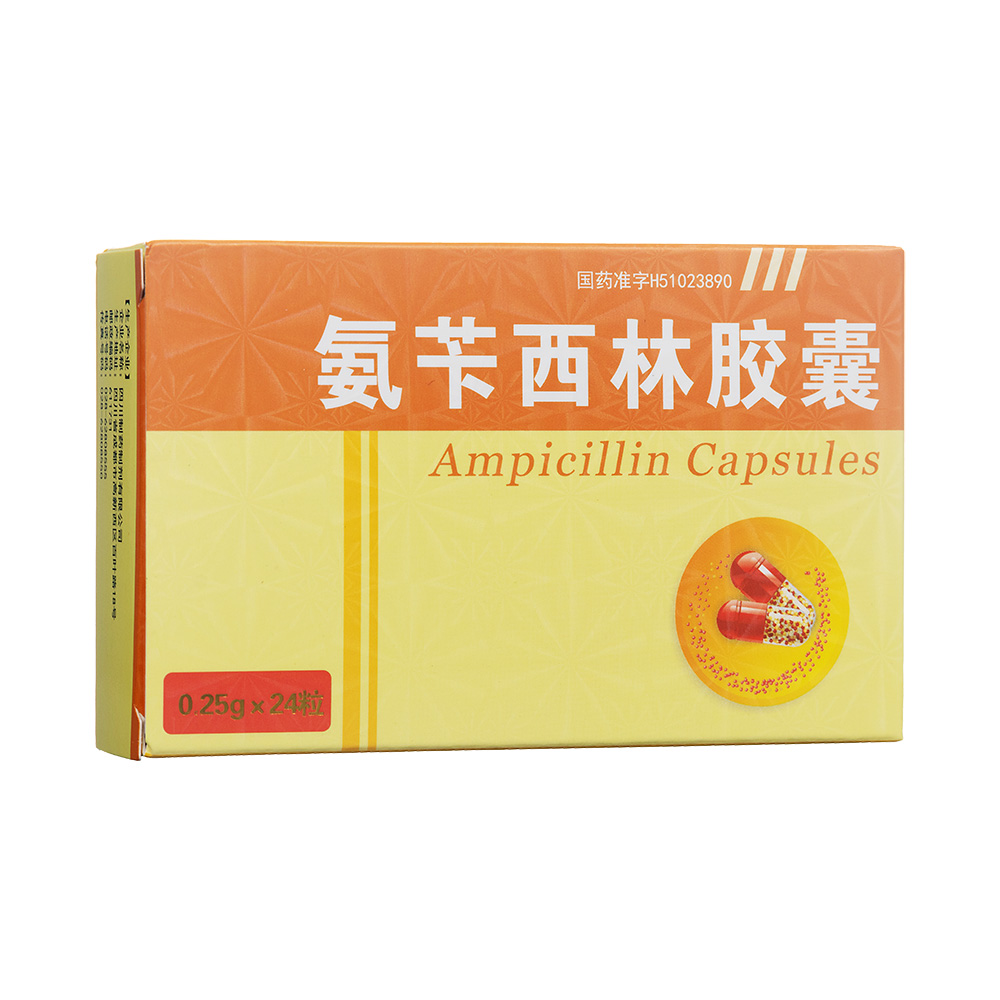 ���S�����z��